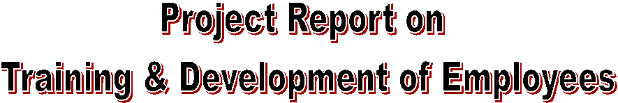Project Report on Training and Development of Employees